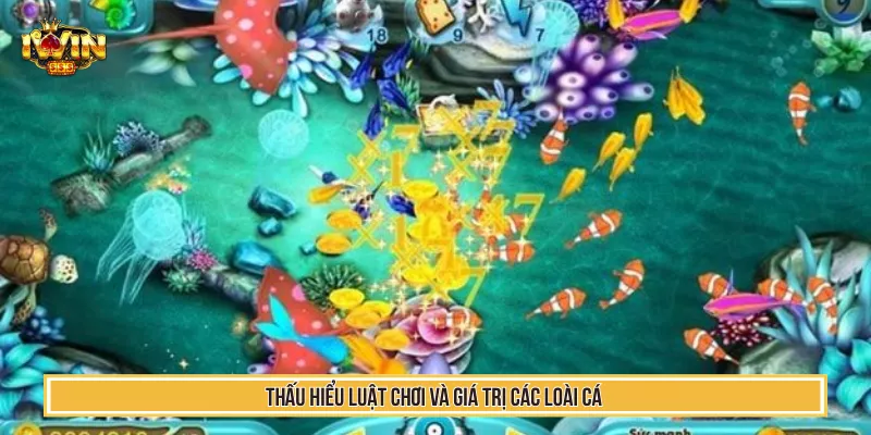 Thấu hiểu luật chơi và giá trị các loài cá